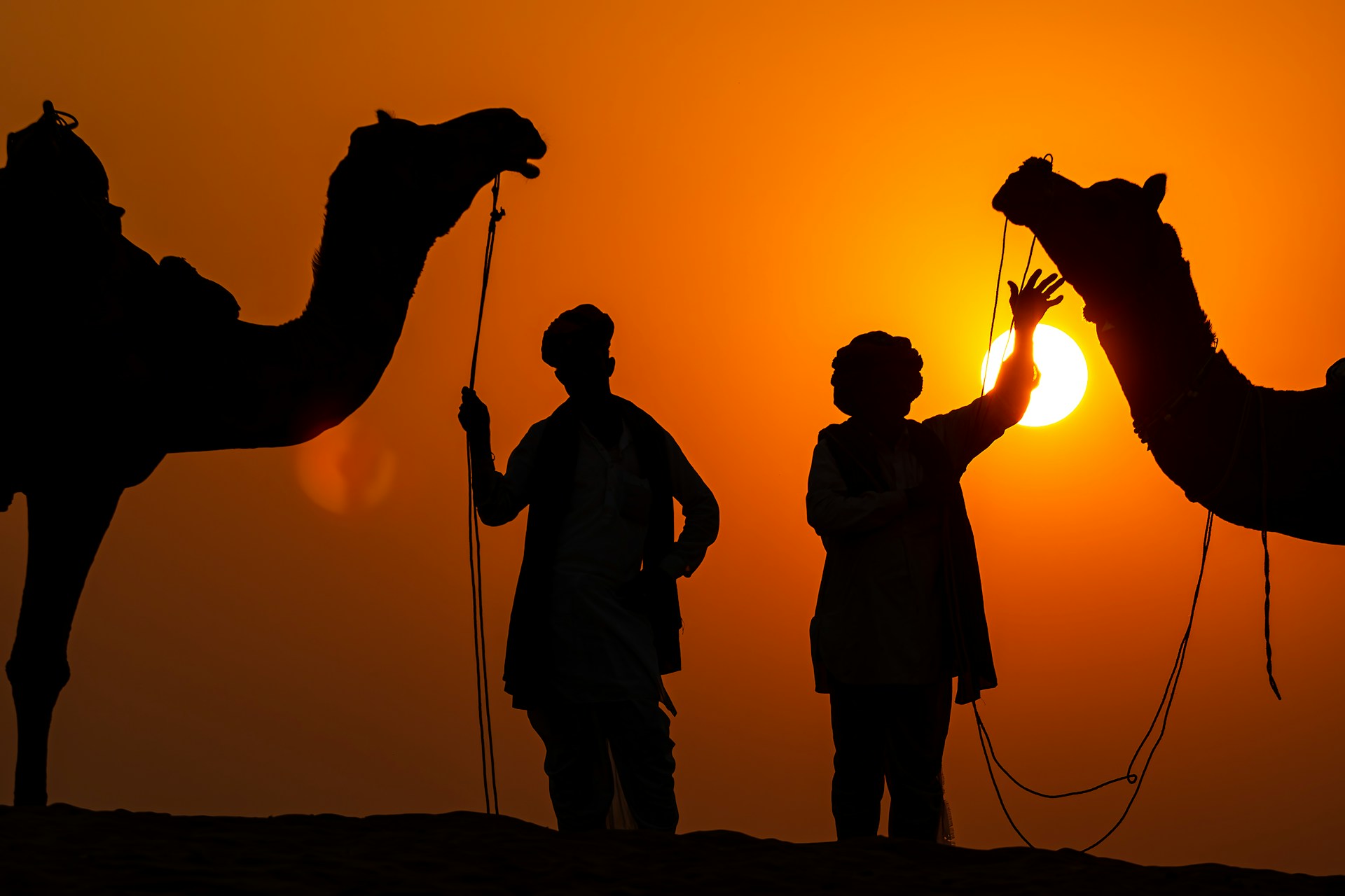 Royal Rajasthan – An 11-Day Cultural, Desert and Wildlife Journey Through Rajasthan - Tour featured image