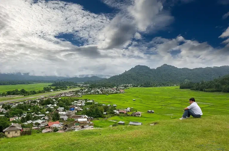 view_of__Ziro__town