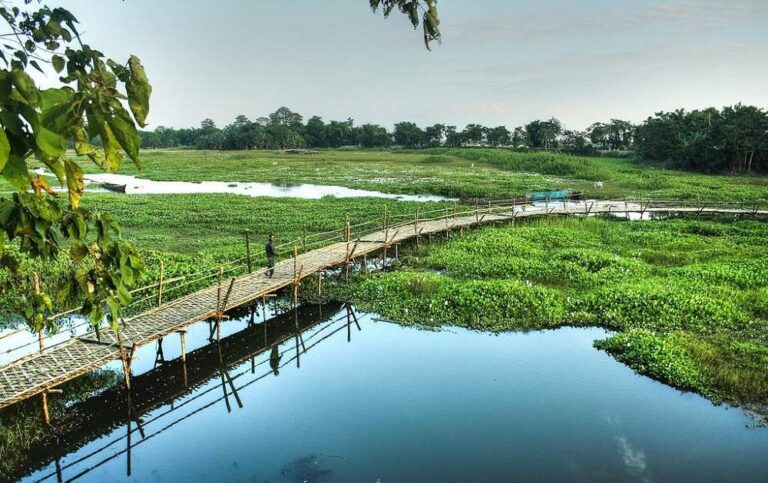 River-Island-of-Majuli3